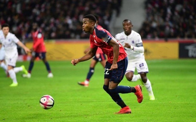 极具侵略性 极具侵略性